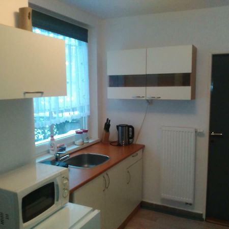 Na Polesi Apartman Žlutice Kültér fotó