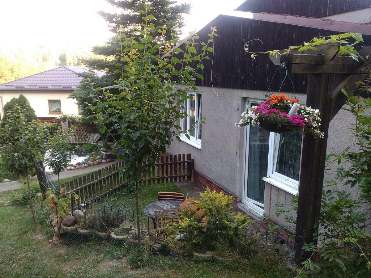 Na Polesi Apartman Žlutice Kültér fotó